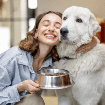 Dog Food