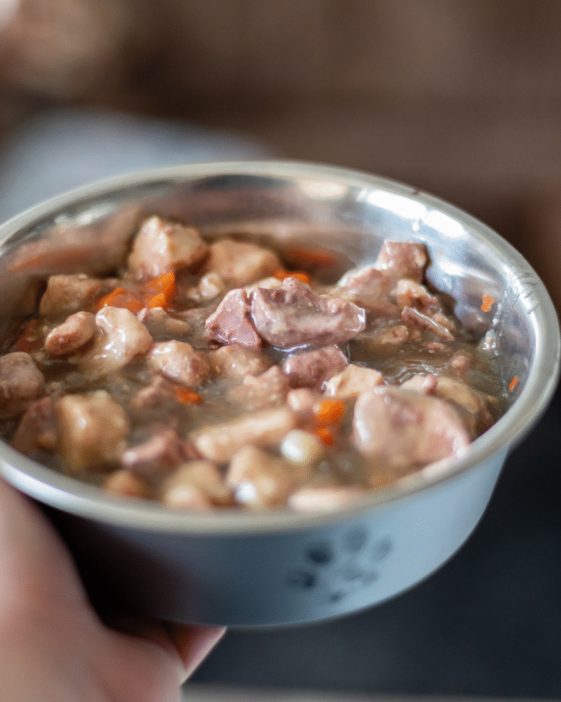 dry dog food vs wet